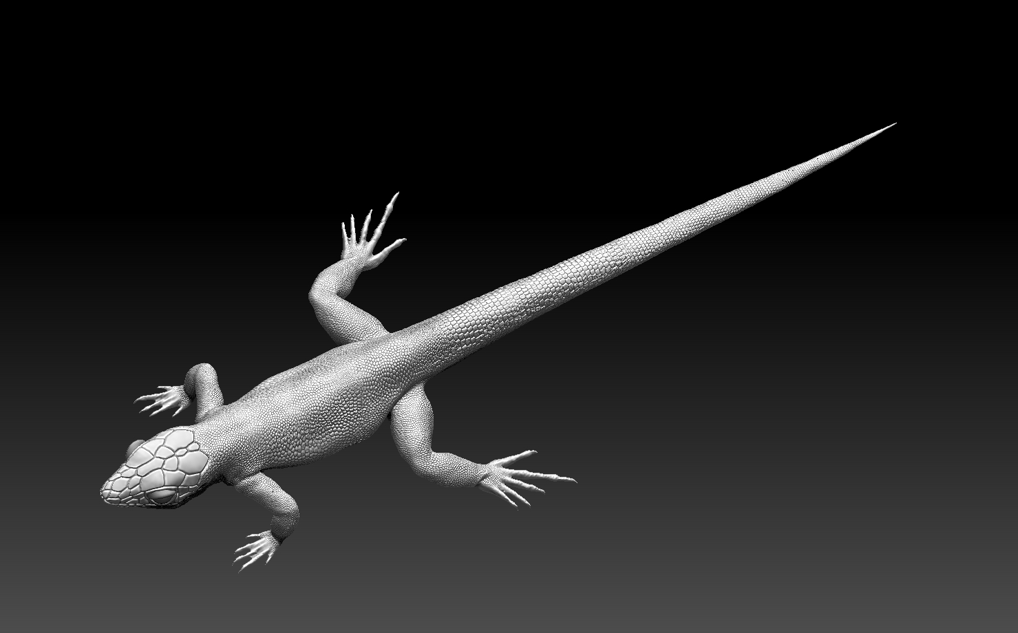 lizard — miniatura 4