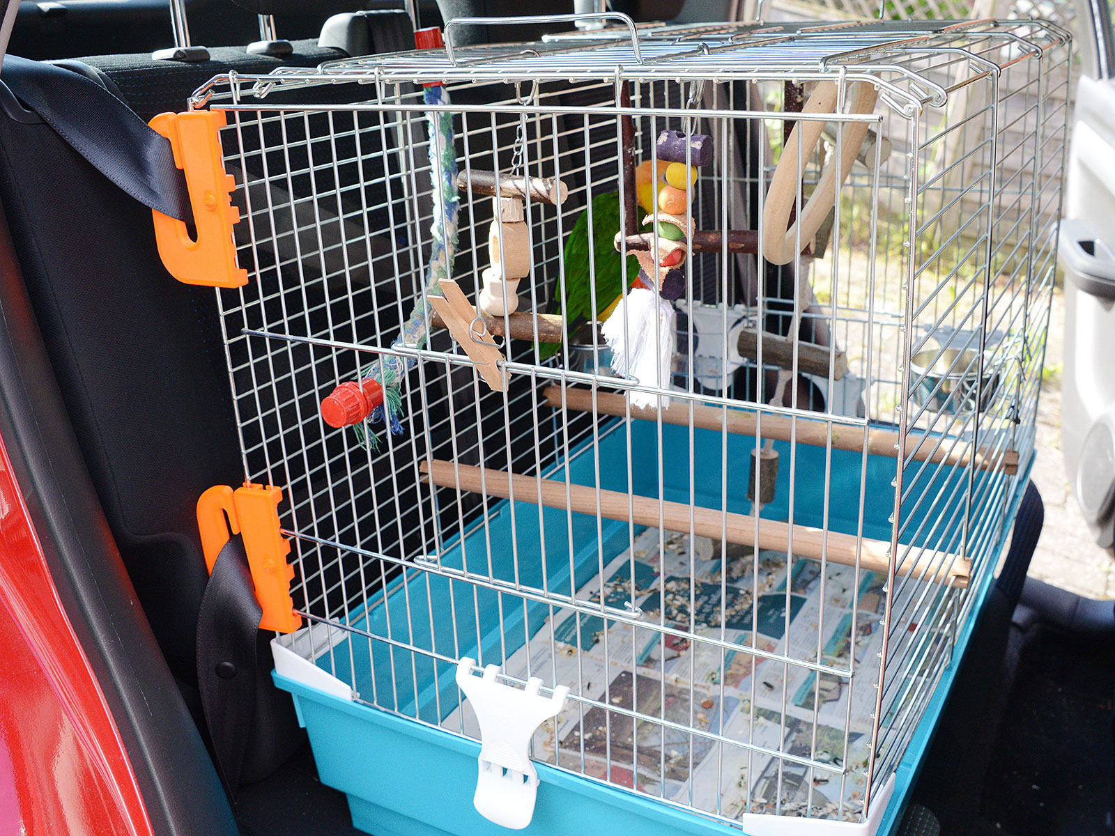 Bird cage seat belt fastener