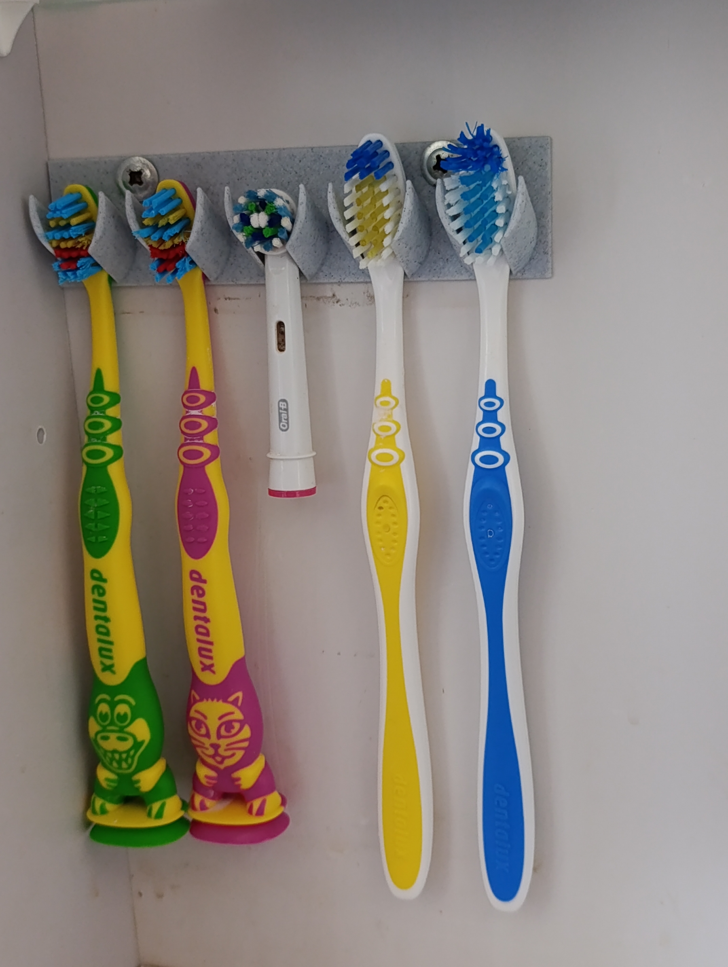 Toothbrush Holder, Separated brushes!