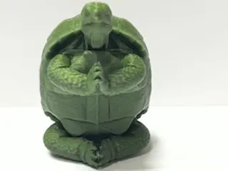 Zen Tortoise
