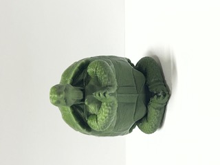 Zen Tortoise