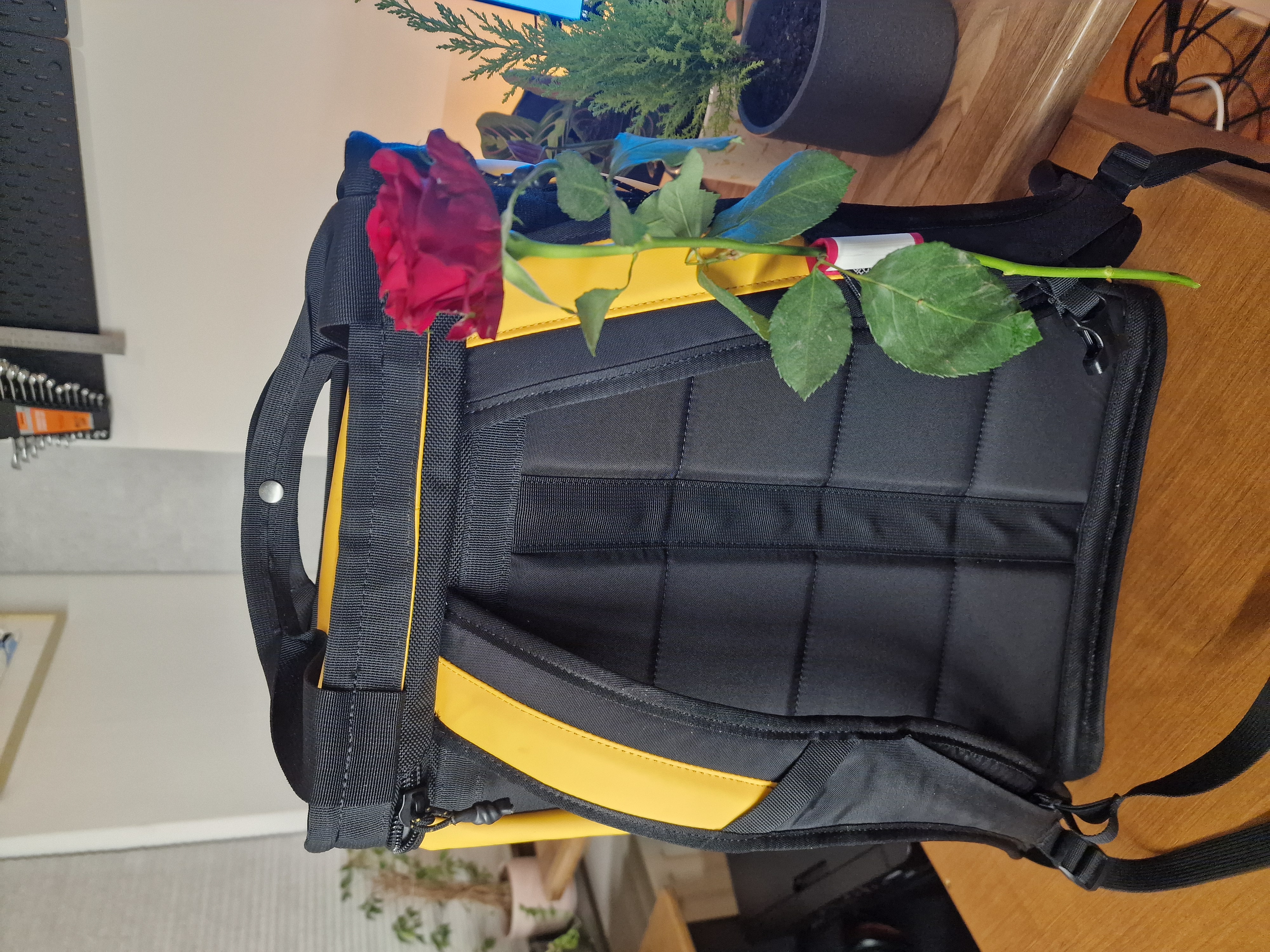 Valentines Rose Backpack Clip — miniatura 2
