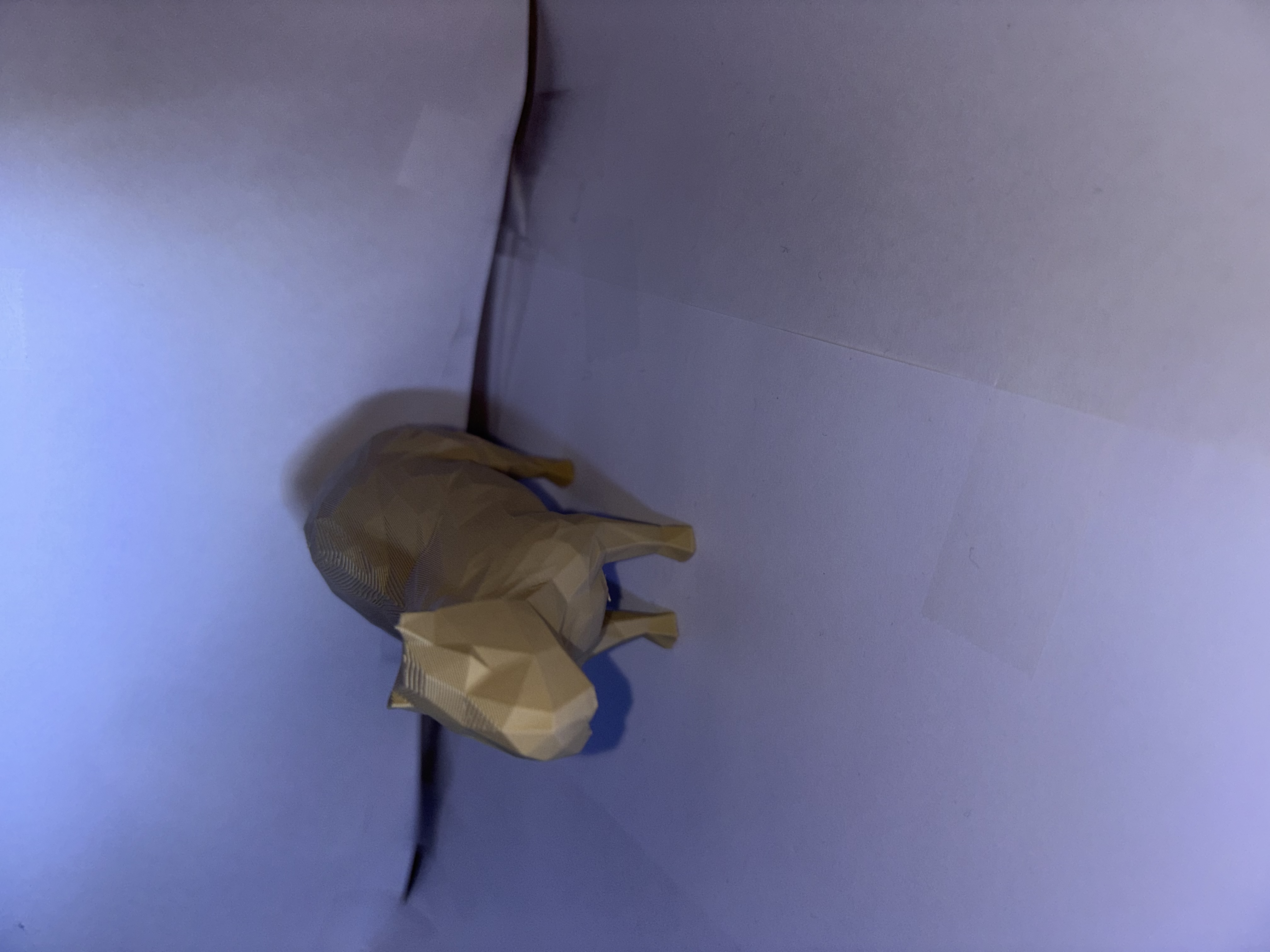 low poly capybara
