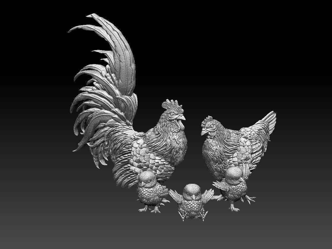 Rooster Hen Chickens