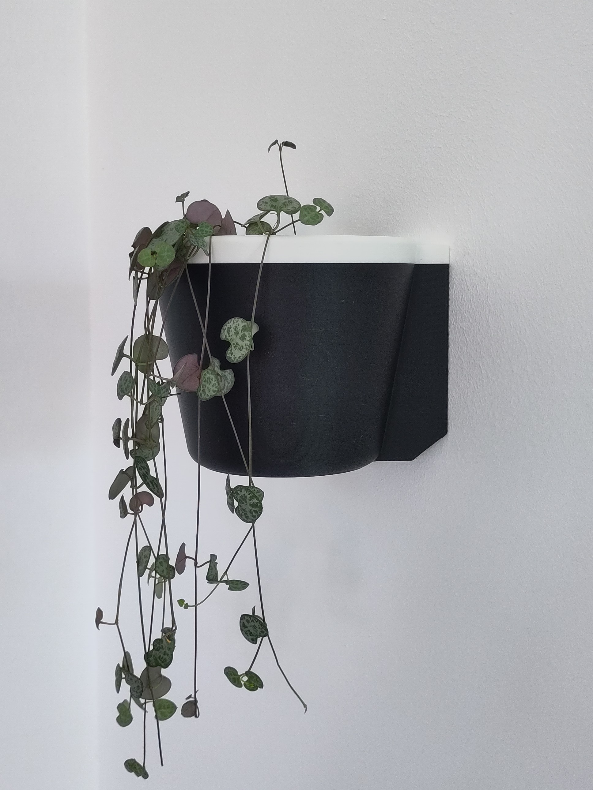 DIY Planter - Wall Mount - Minimalist - 120mm