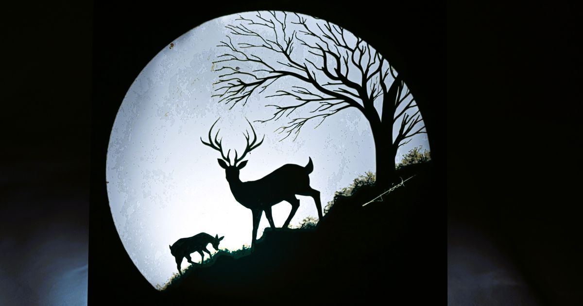 My Deer and Dearest - Filament Paint by MrENG | Download free STL model ...