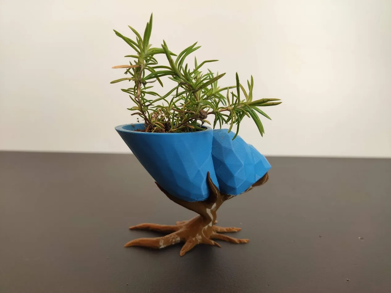 Seashell Succulent Planter Pot 3D Printed - Shell Planter - Seashell Planter