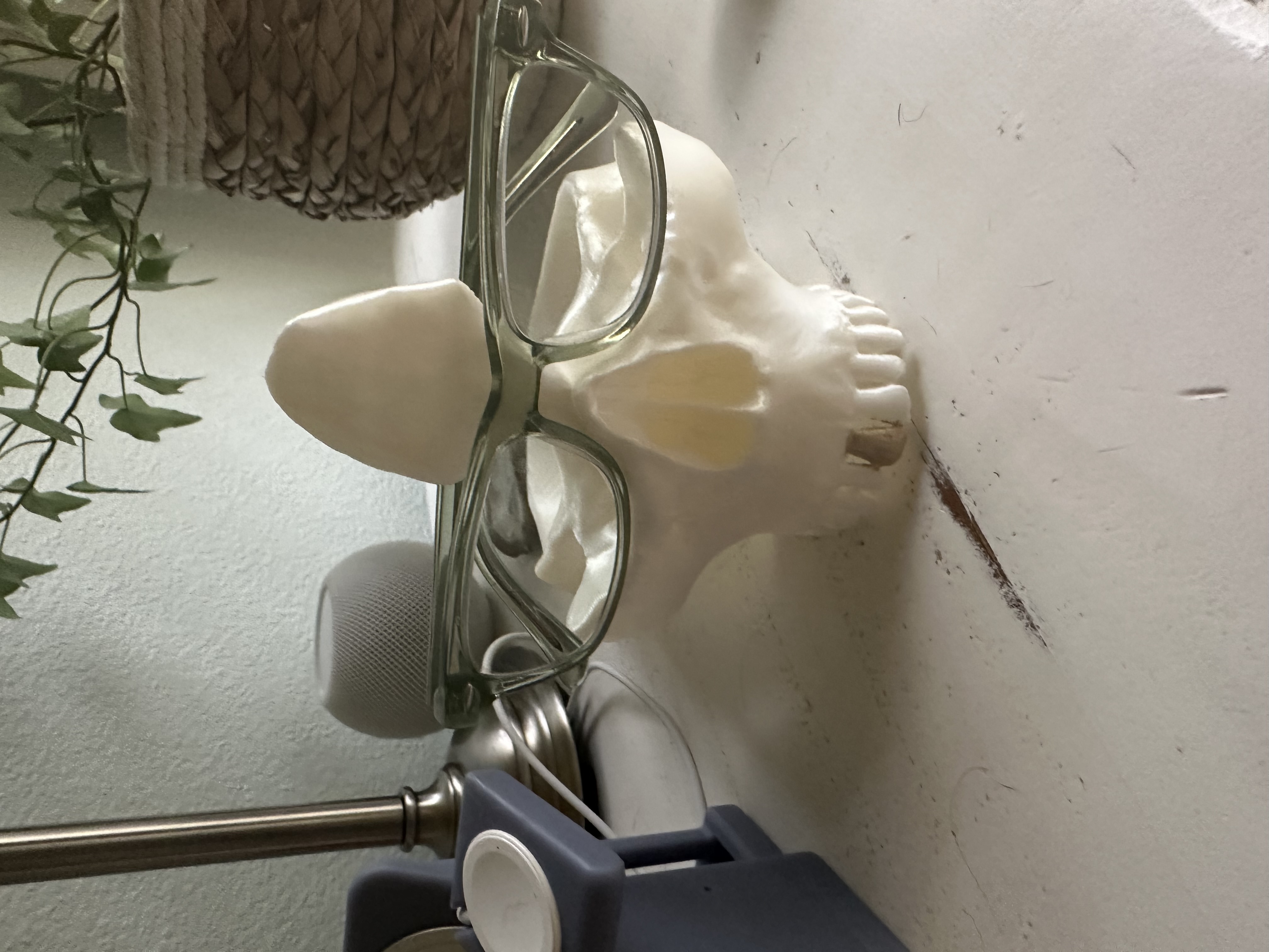 Skull Glasses Holder and Change Bowl