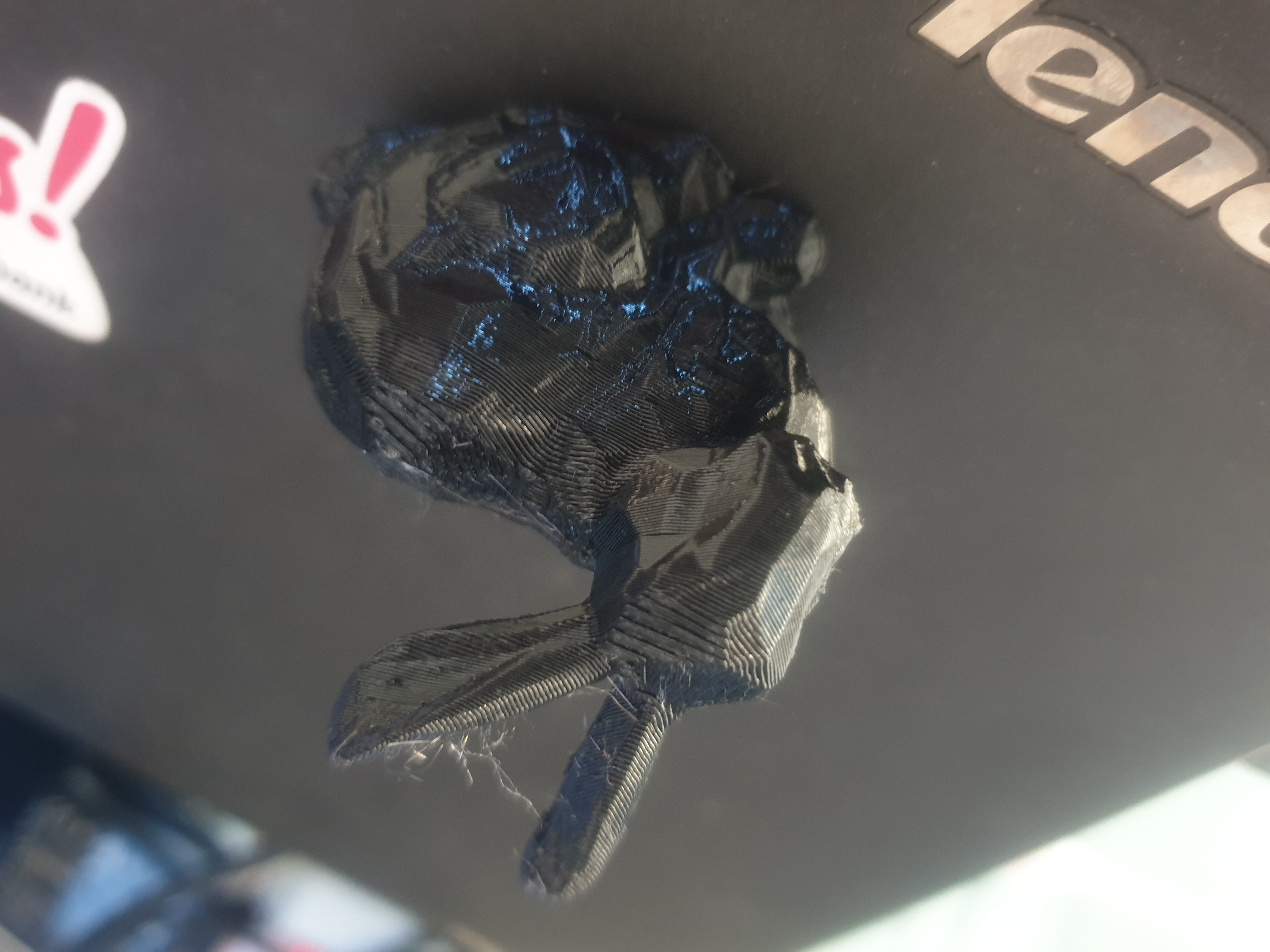 Miniatura 5 do modelo 3D low poly rabbit