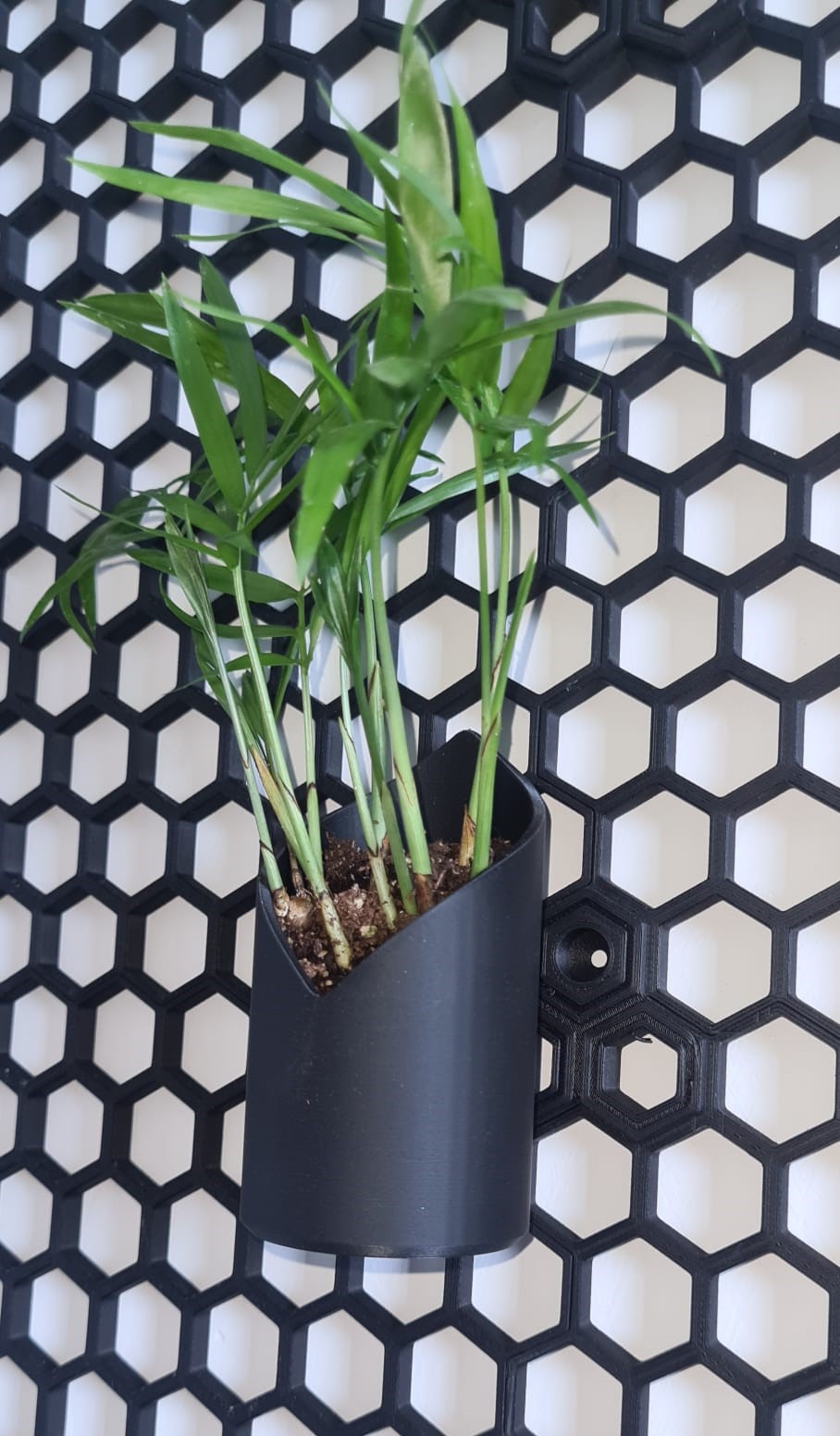 HSW planter cylinder