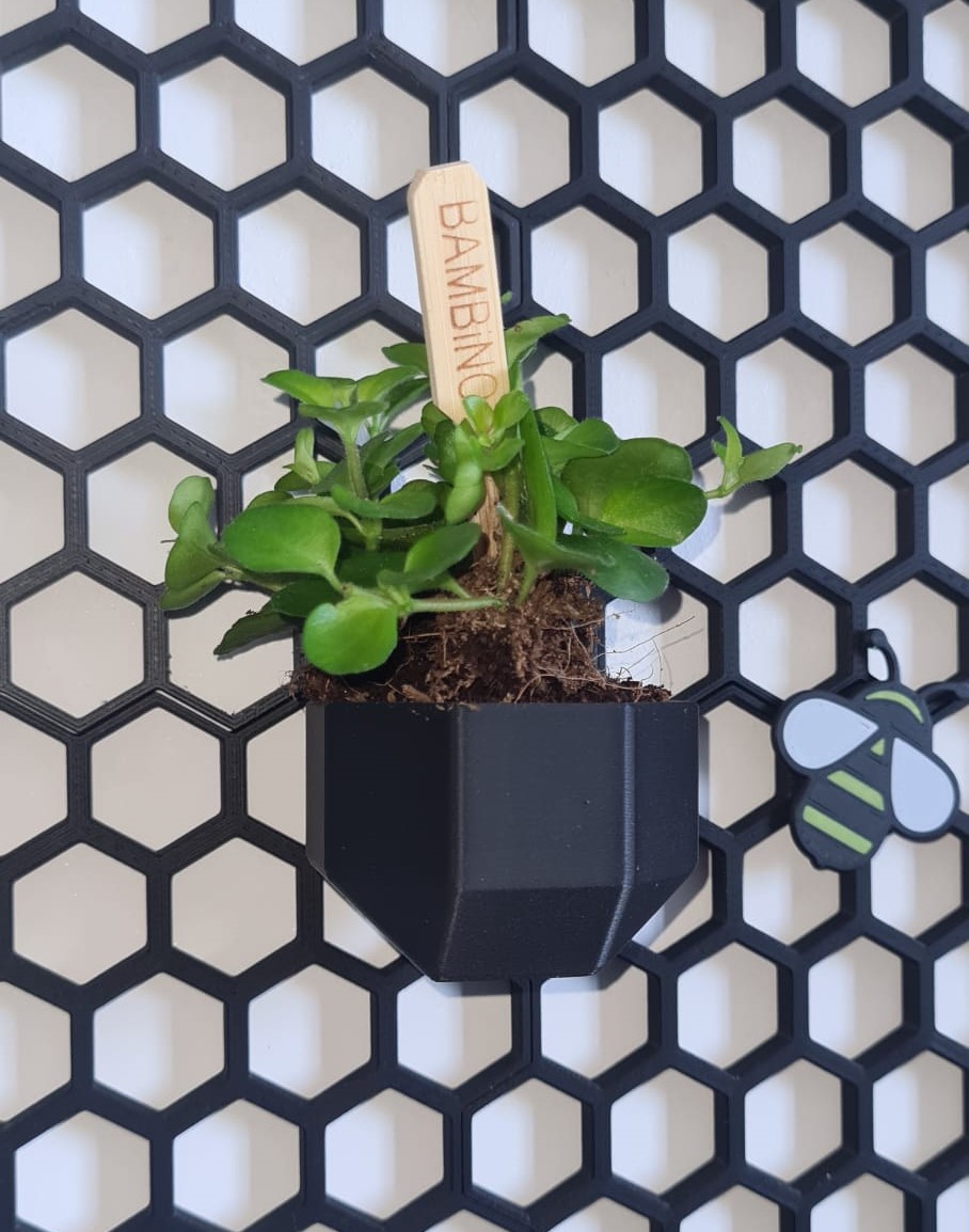 HSW planter cubed
