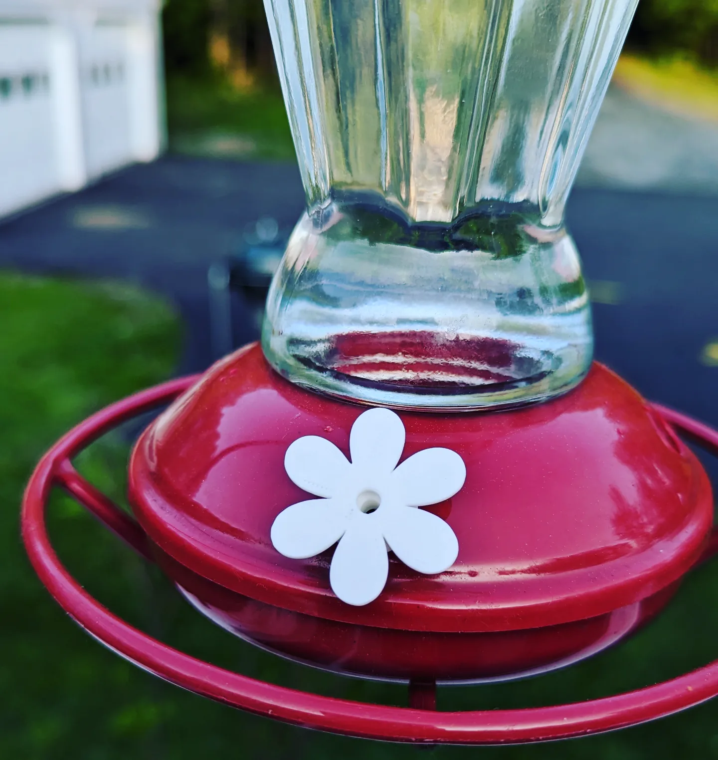 Hummingbird Feeder Replacement Flowers by Melbamorph Download free