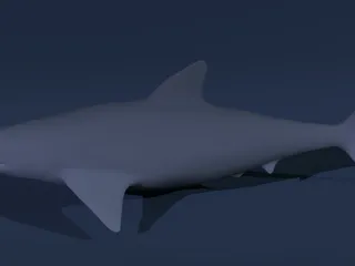 Quality Blender Shark by Books | Download free STL model | Printables.com
