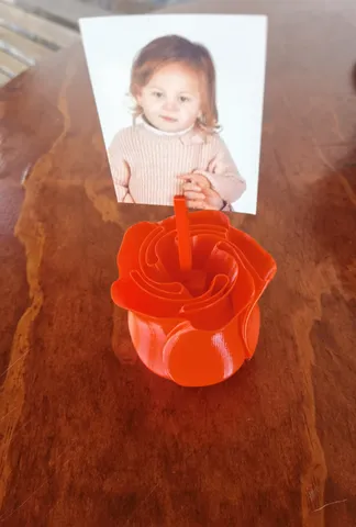 rose support photo