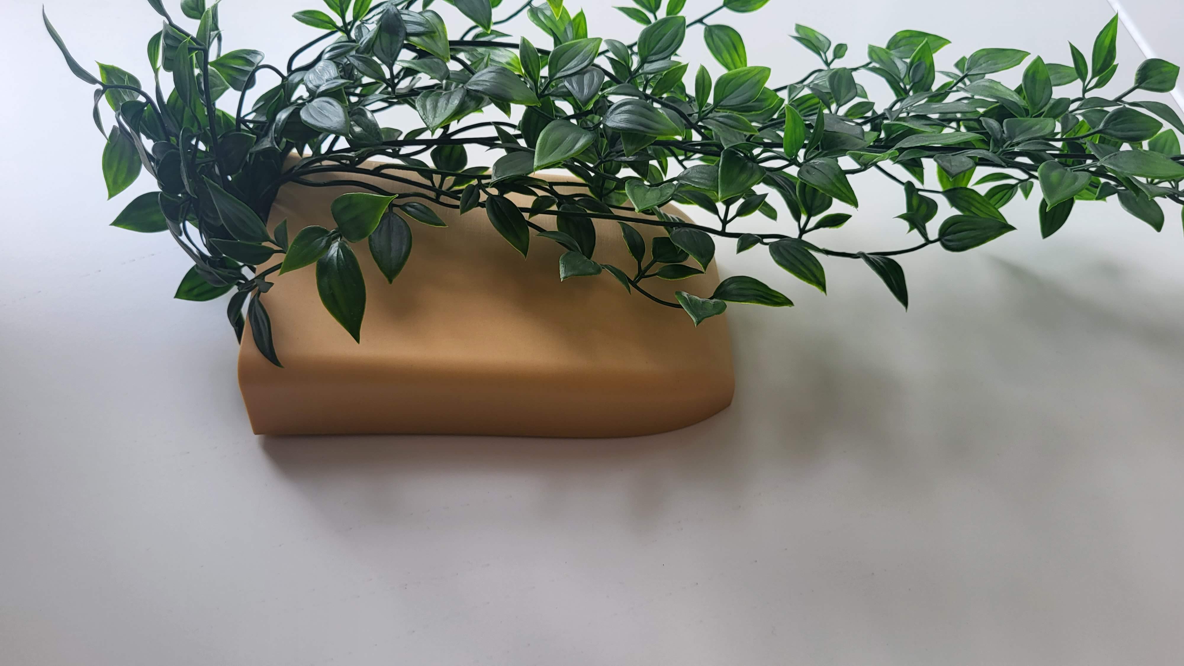 Wall mounted vases