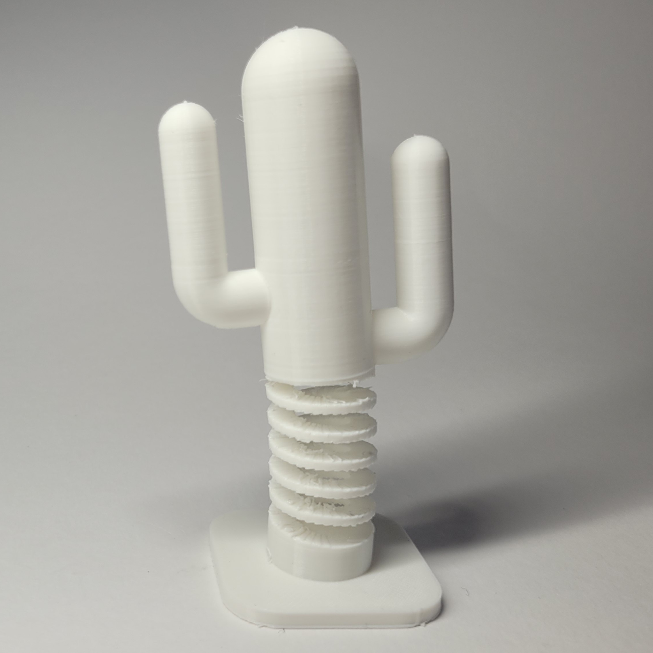Saguaro Cactus Fidget