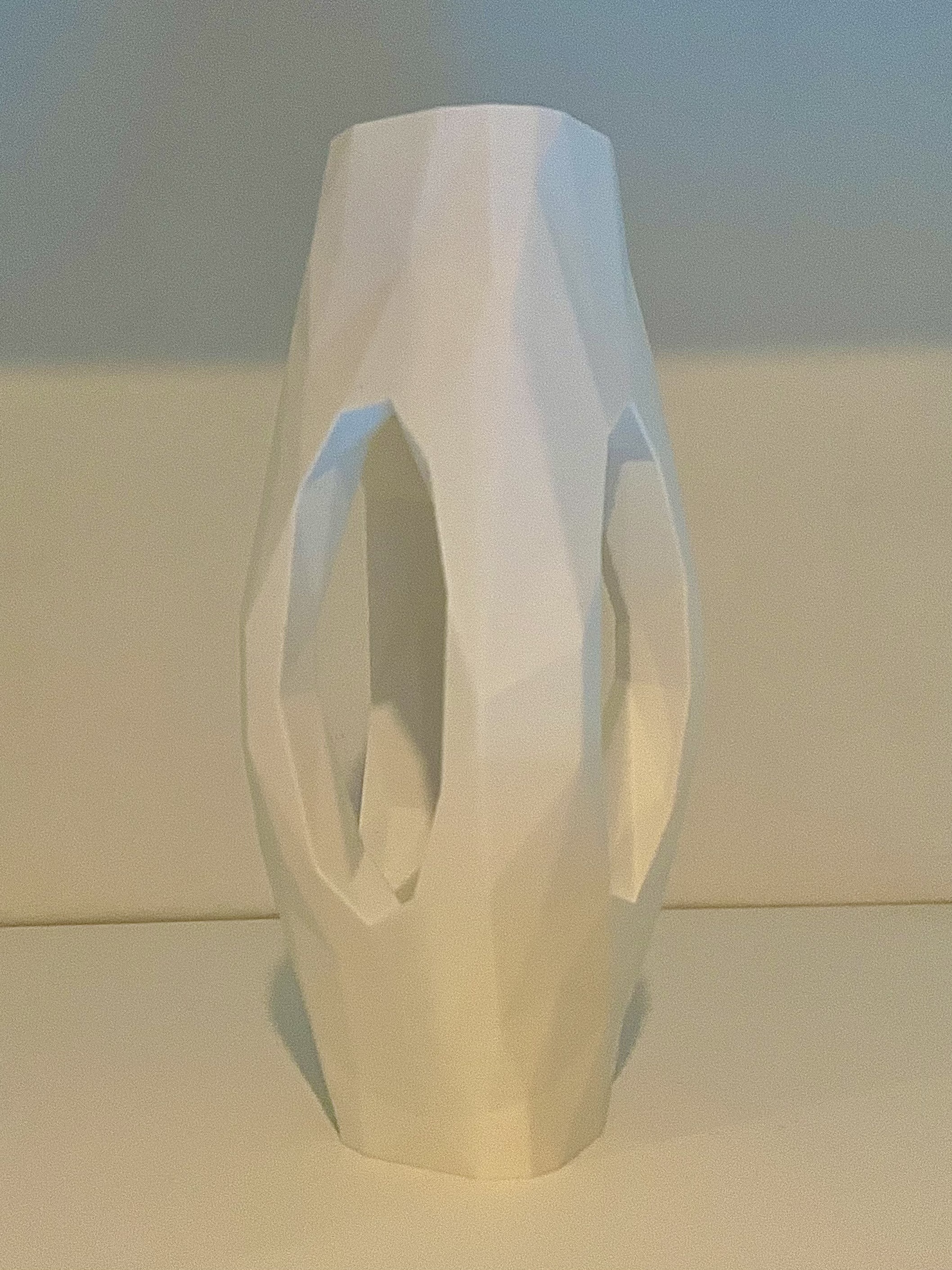 Low-Poly See-Through Plant Pot