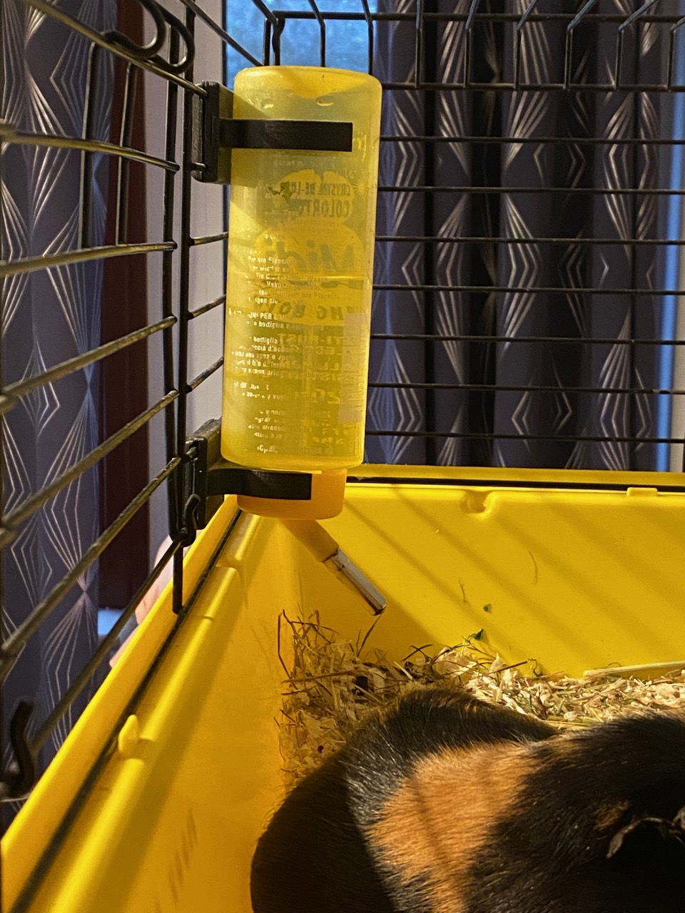 Hamster cage water bottle holder