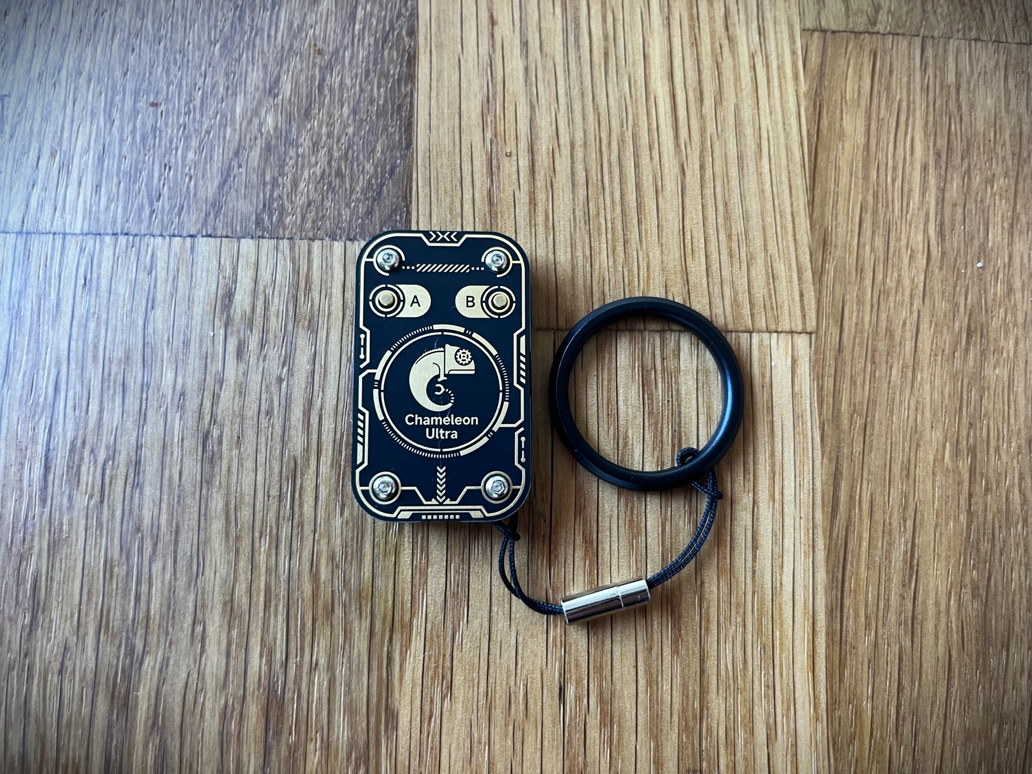 ChameleonUltra Keyring by Sean Download free STL model