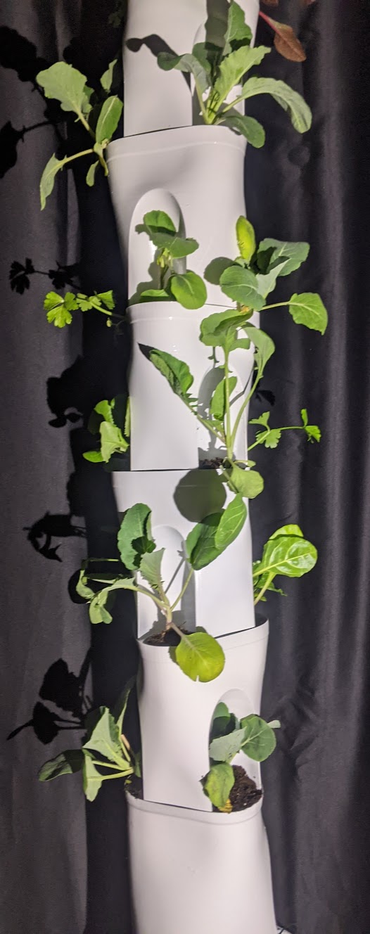 Spiralized Hydroponic Tower