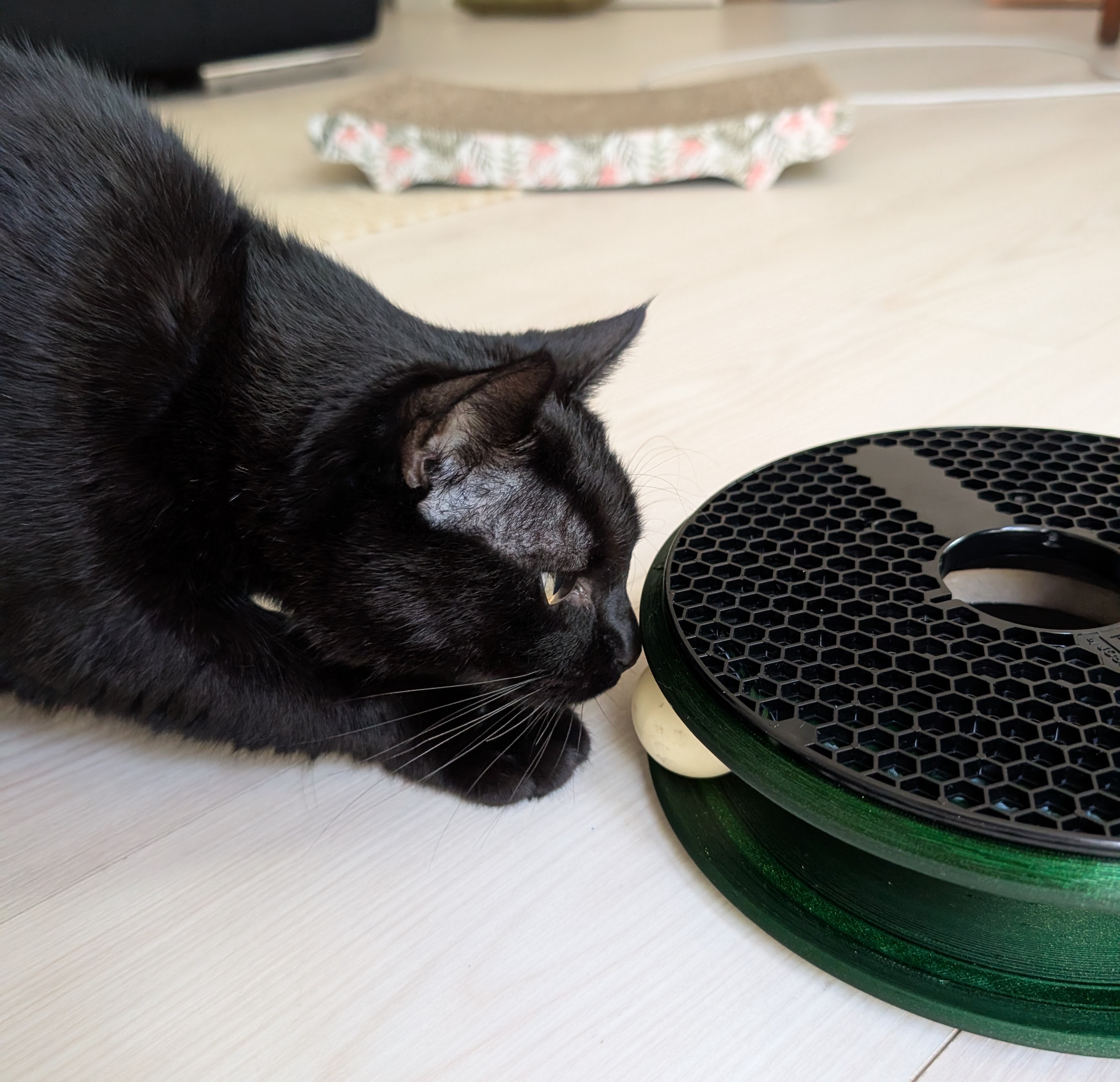 Ativity Circle for Cats — miniatura 4