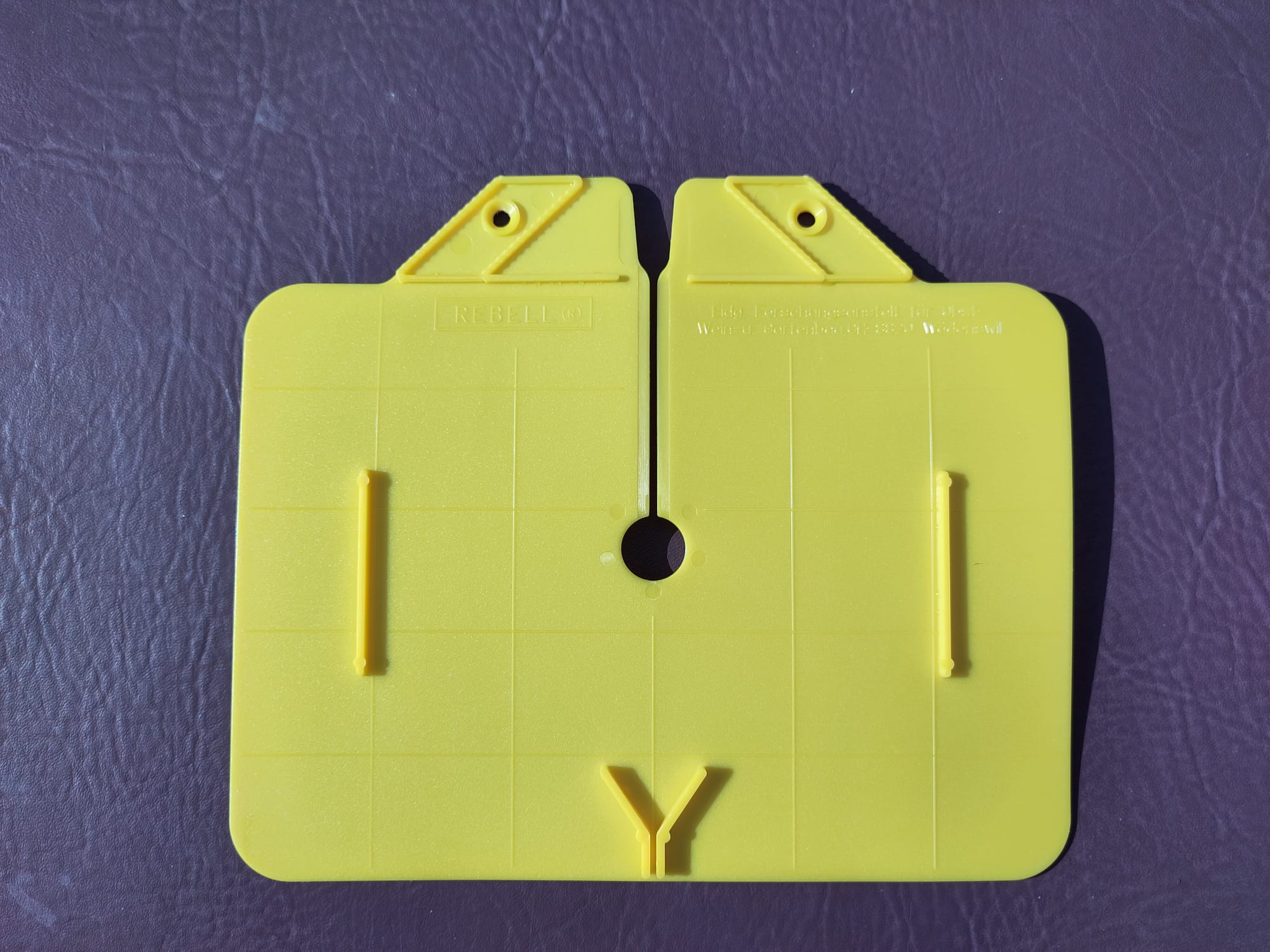 walnut fruit fly WalnutFlyTrapBox v1 — miniatura 11