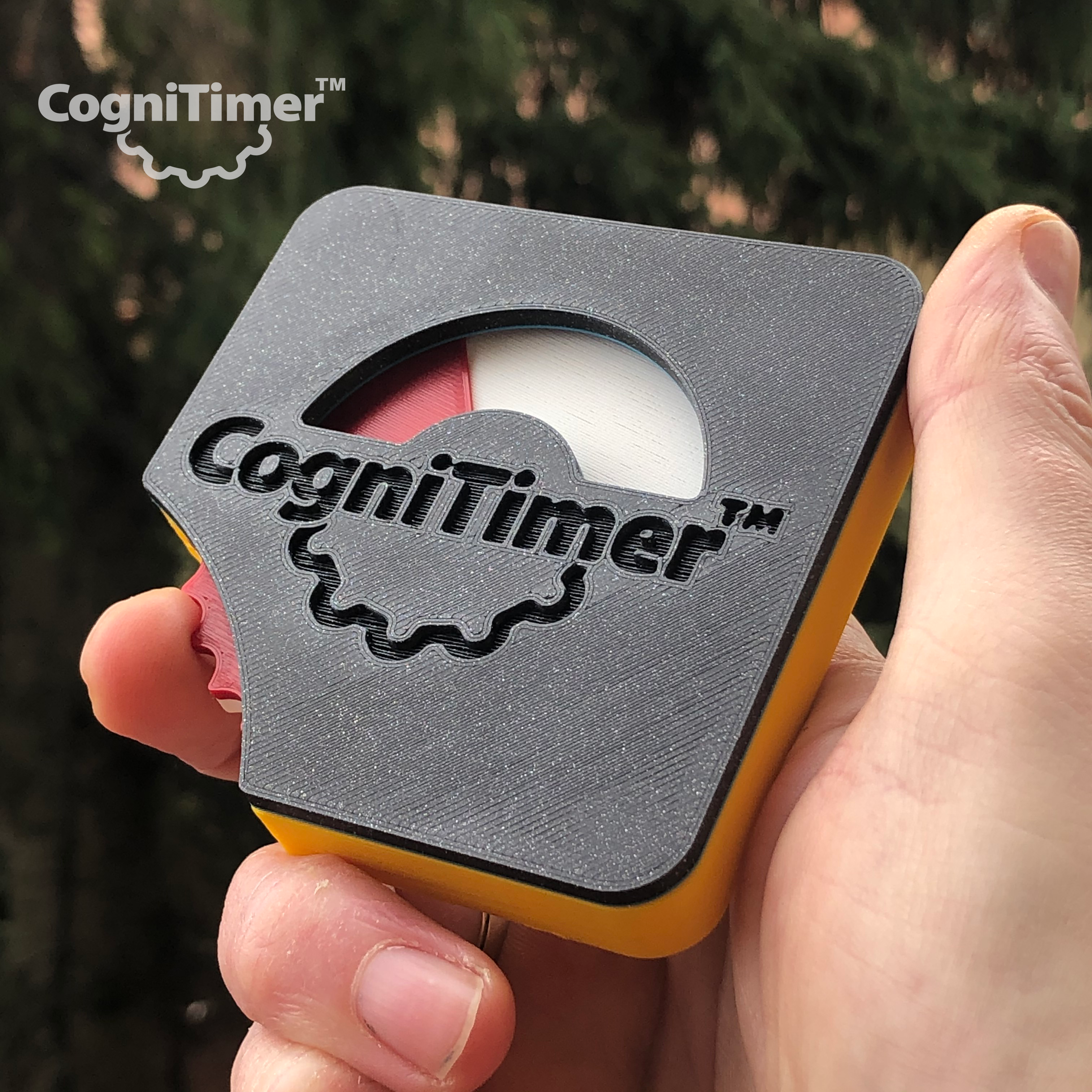 CogniTimer