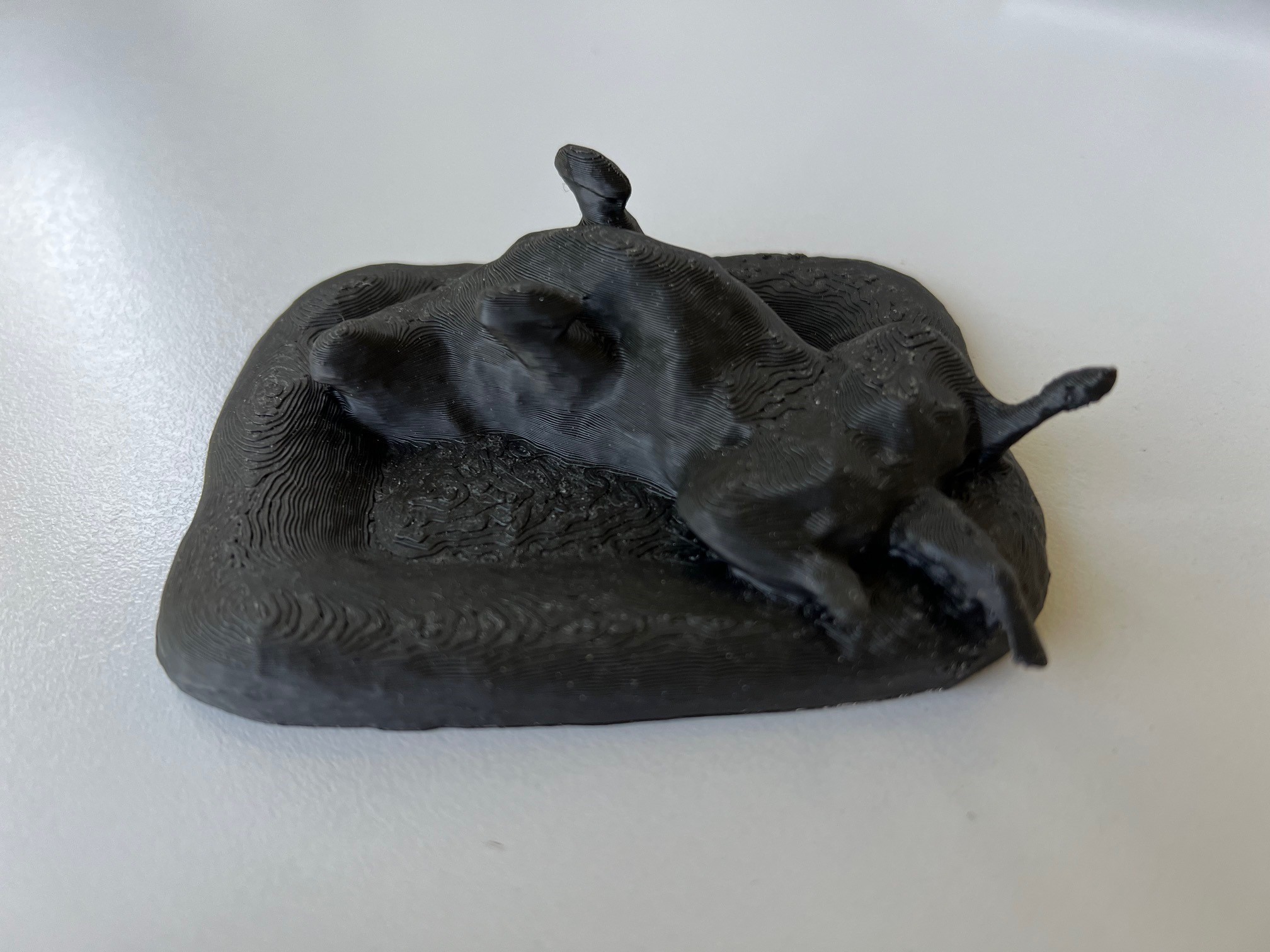 Labrador