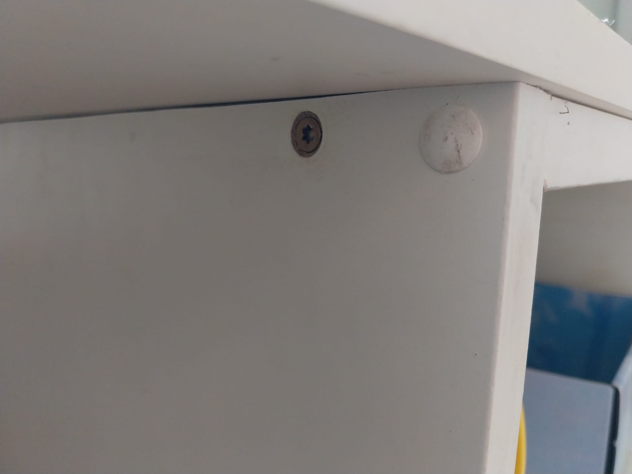 Screw cover TORX 20 (TX20)