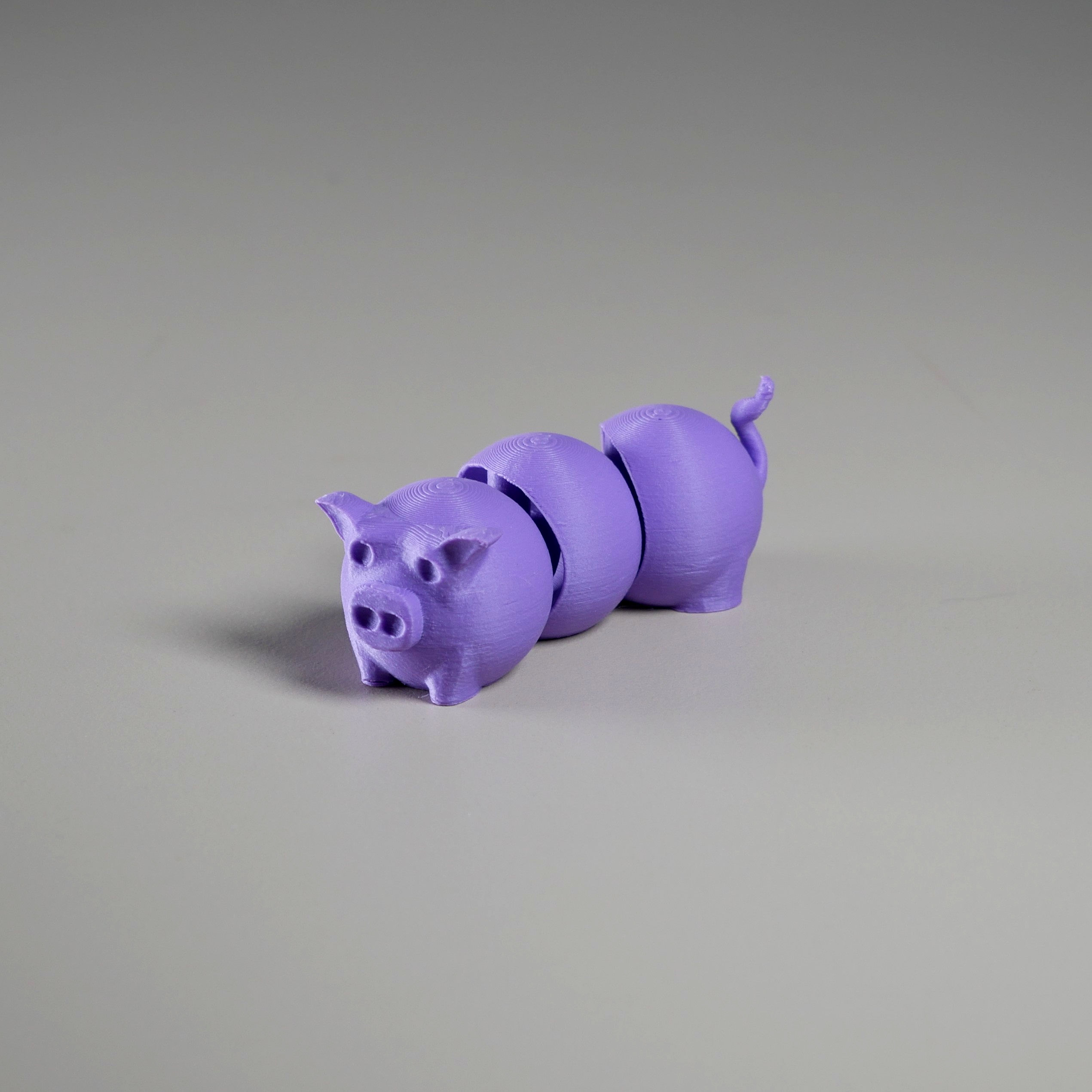 Wiggly Pig