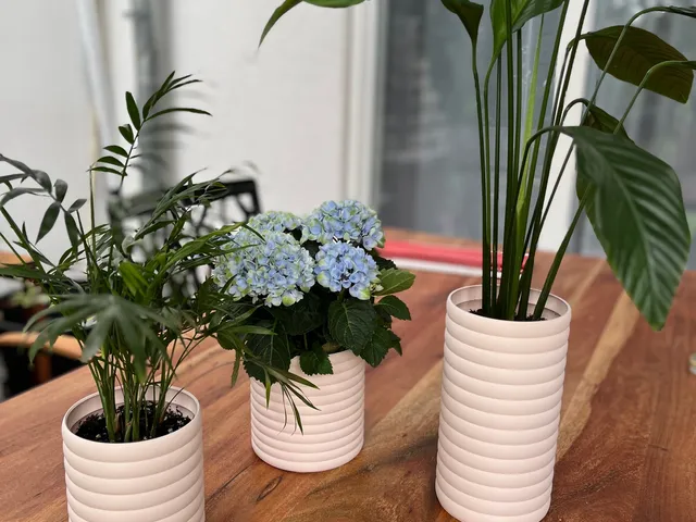 Modern Planter Plant pot bowl Pflanzentopf rund Eckig wellen