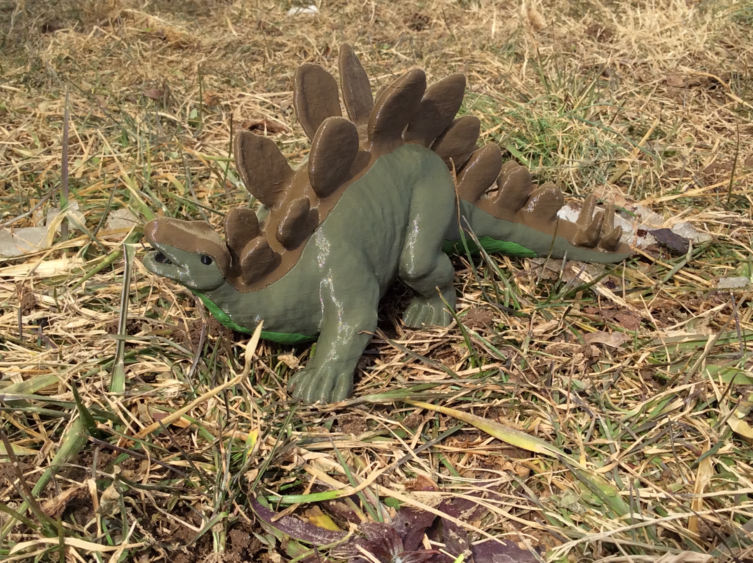 Stegosaurus
