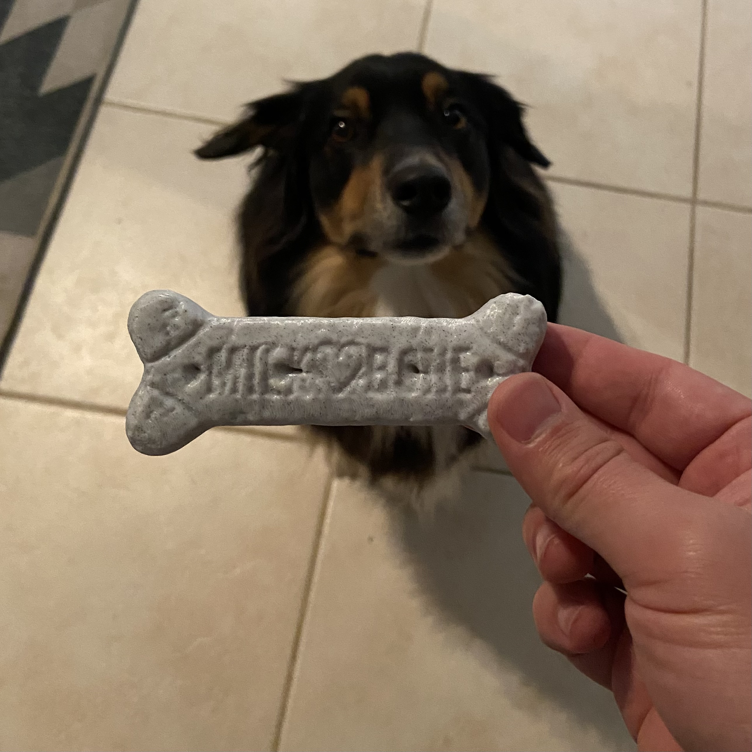 Large dog milkbone by ledray download free stl model printables