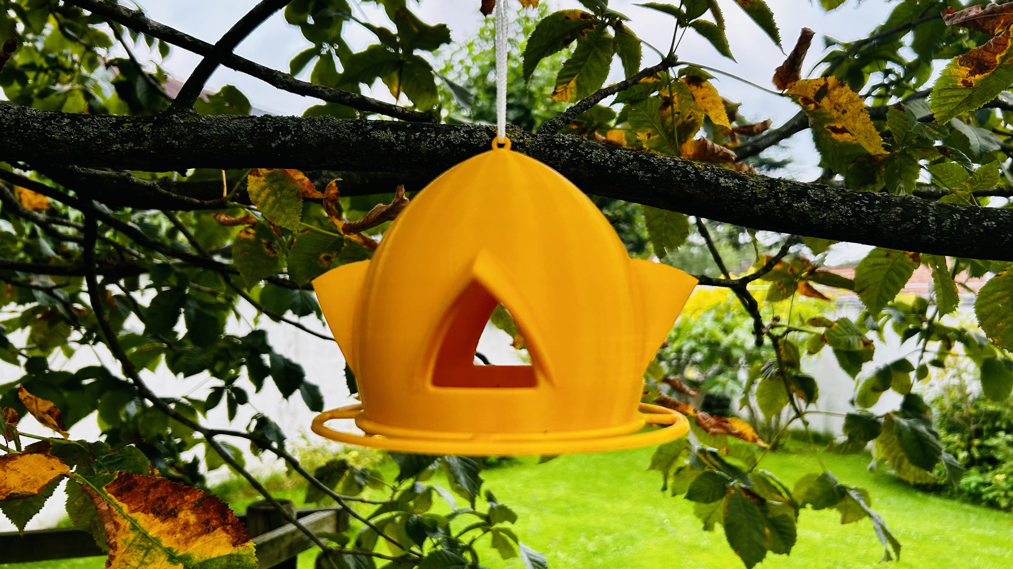 Birdhouse