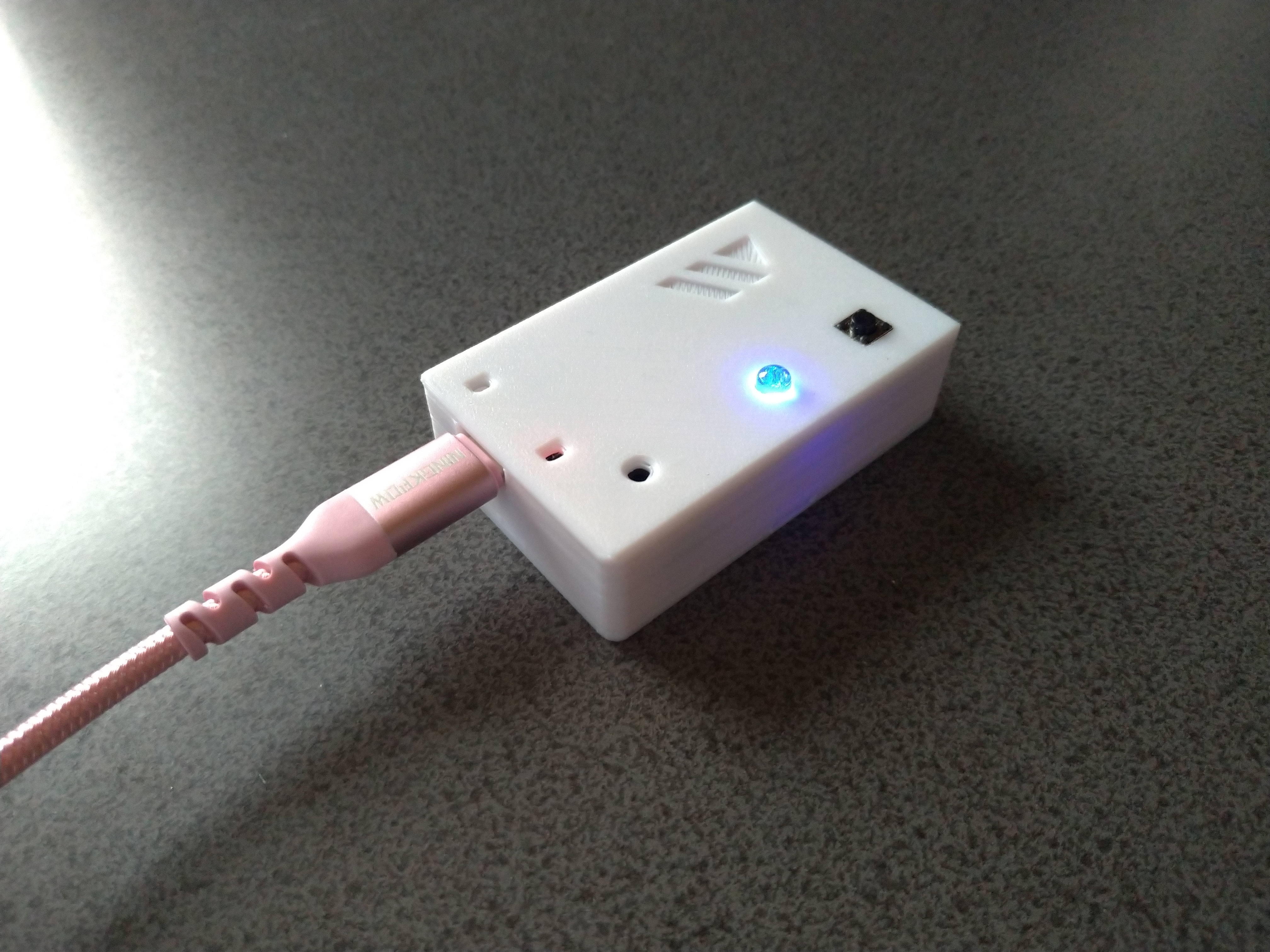 ESP32-C3 Case
