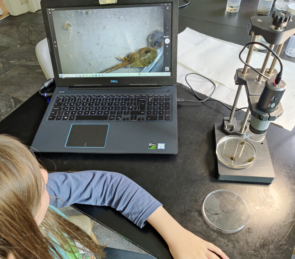 Miniatura 3 do modelo 3D USB Microscope Stand