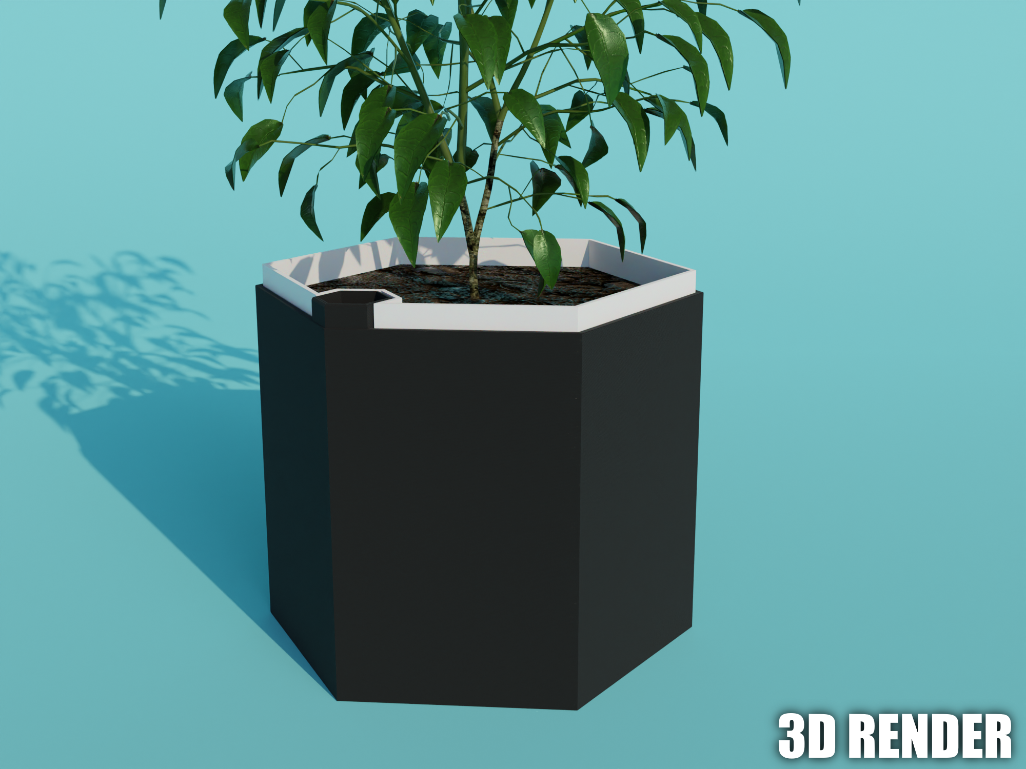 Hexagonal Self Watering Planter (16x16x14cm)