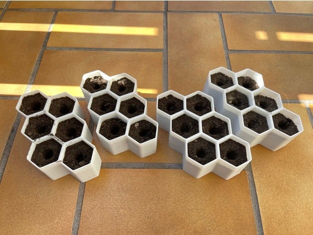 Starter Plant Grower