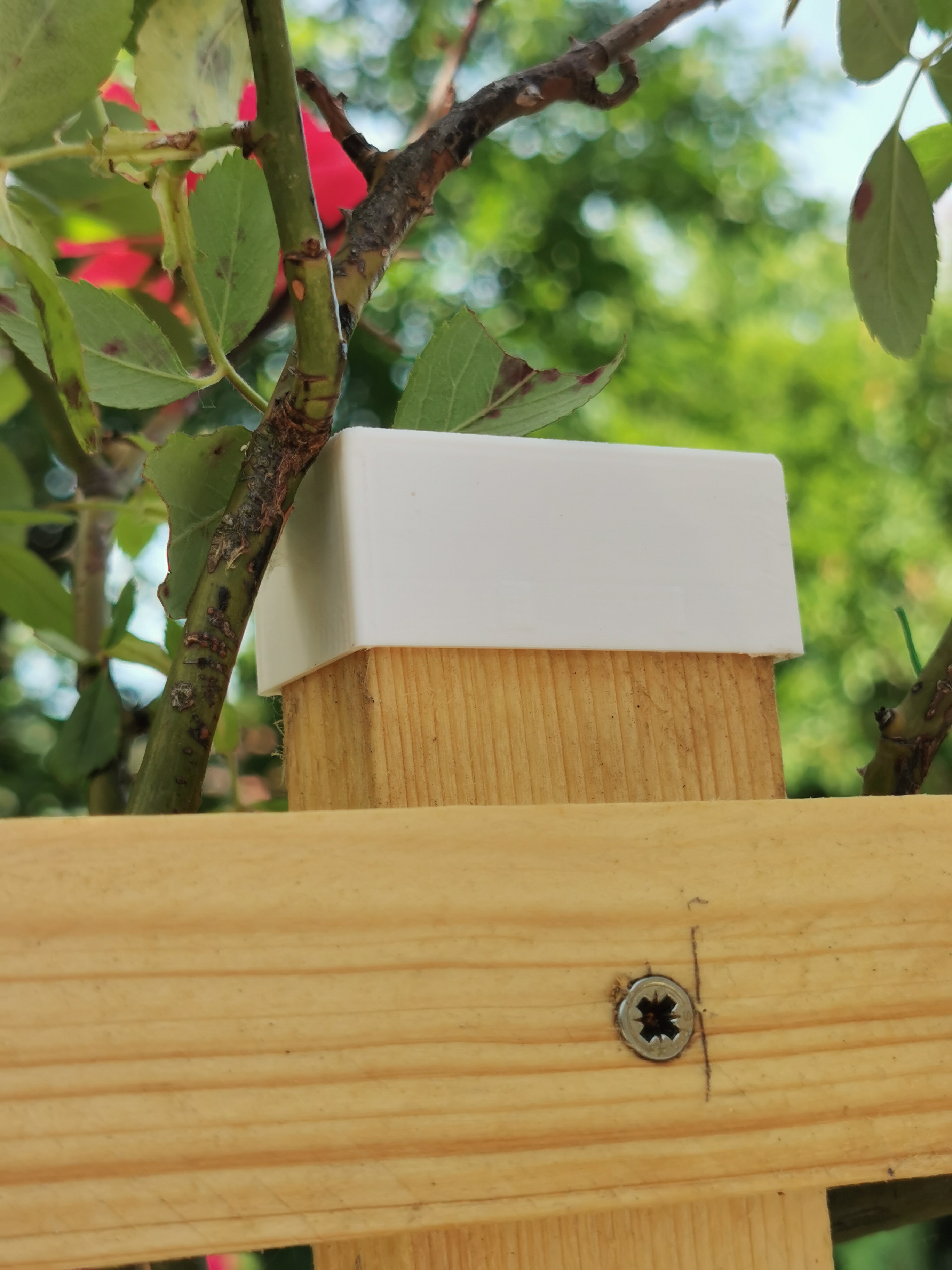 Cap for Trellis Wood Battens 47x23mm – Protective Cap with Clamping Ridges