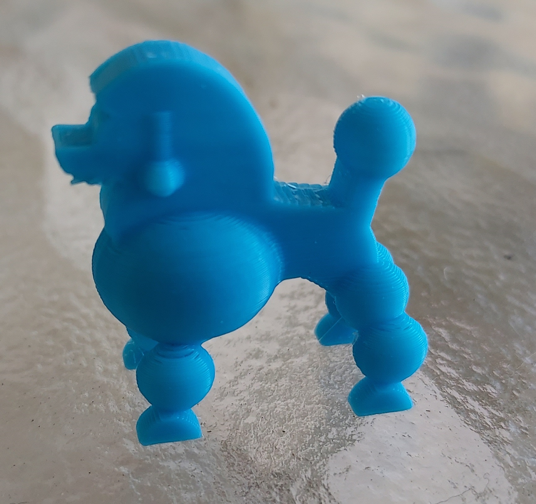 Poodle