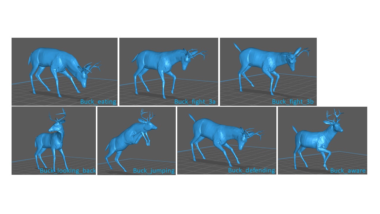 Deer Bucks various poses