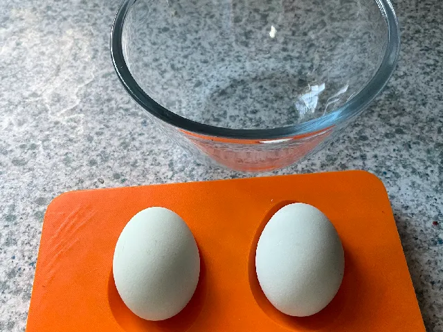 Egg Holder