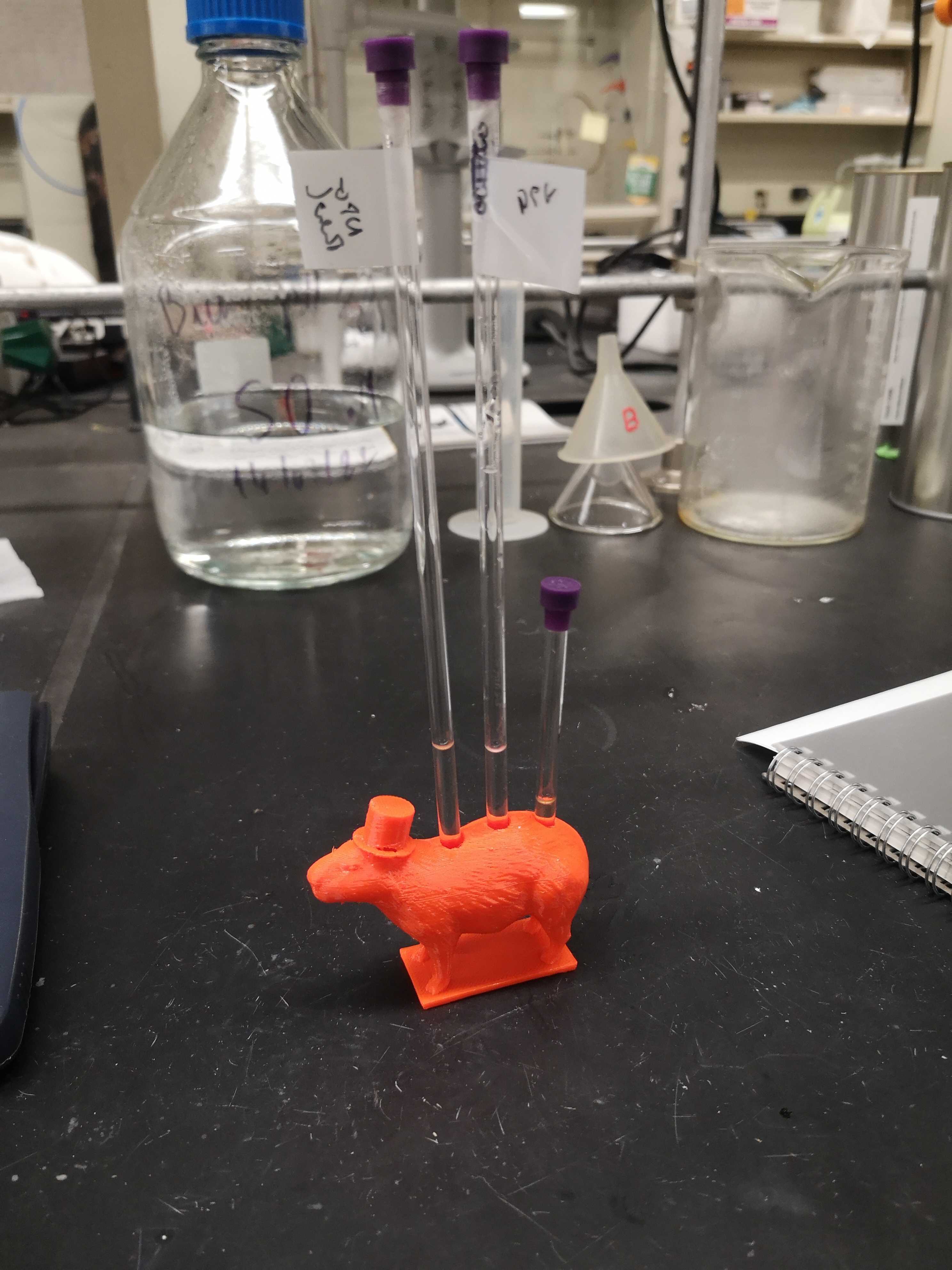Capybara NMR tube holder (3x, 12x) by Serge Nader Download free STL