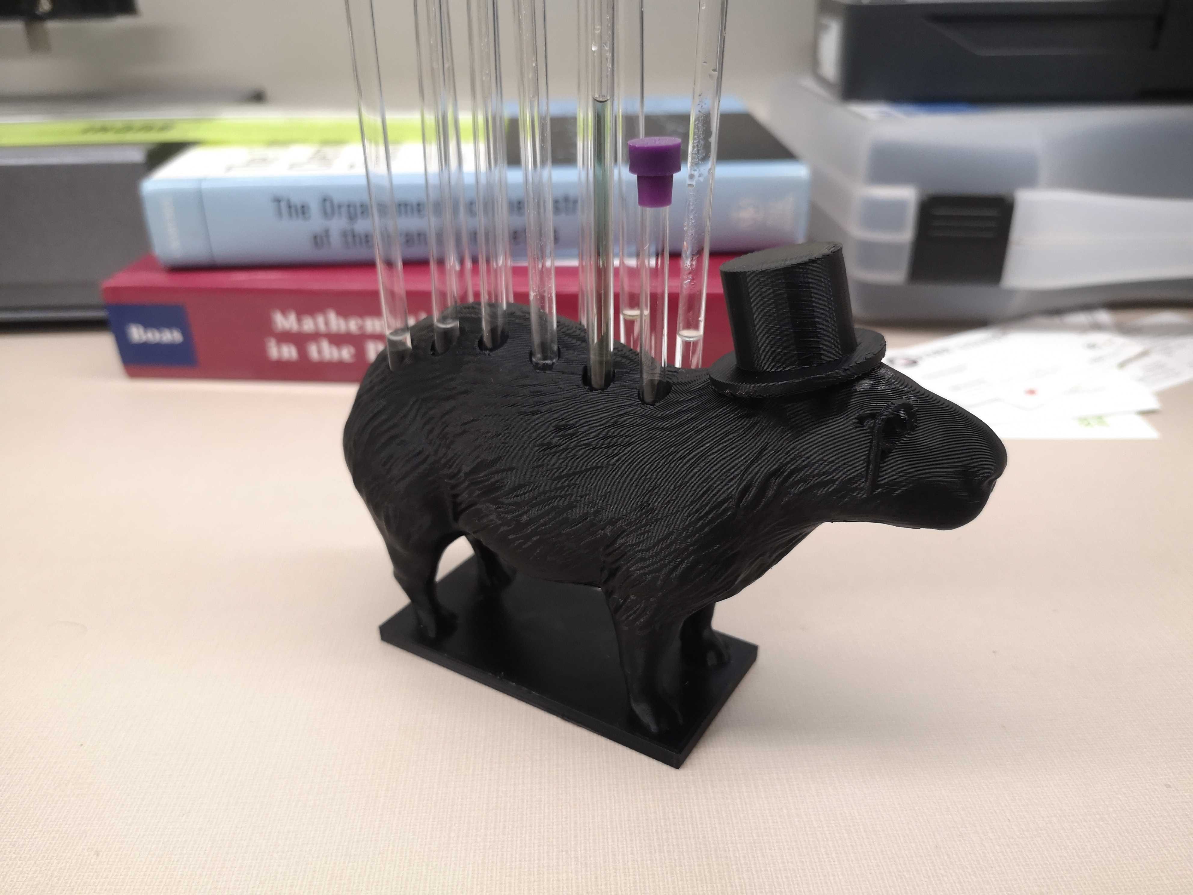Capybara NMR tube holder (3x, 12x) by Serge Nader Download free STL