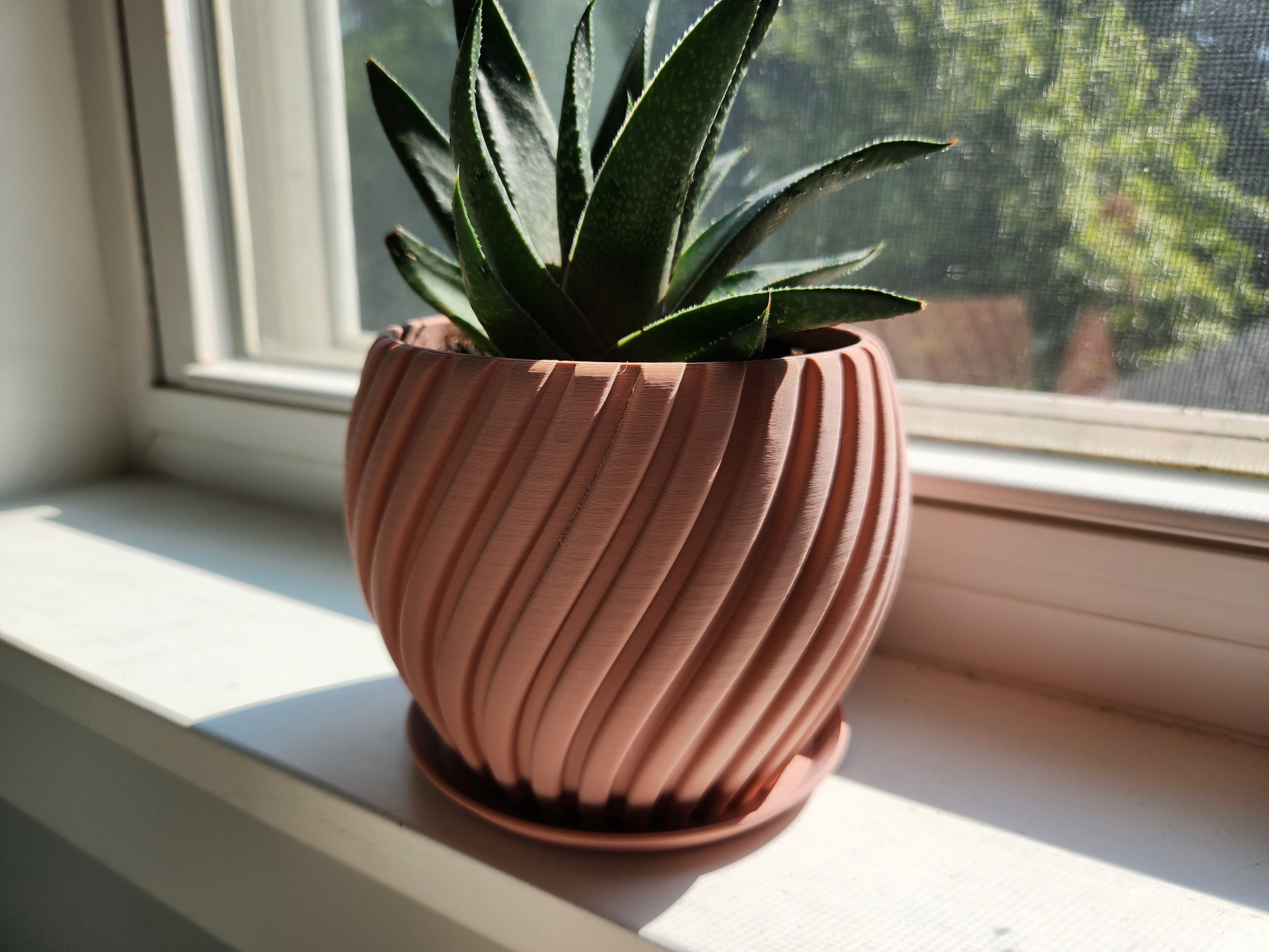 Curvy Pot with Integrated Drain Tray
