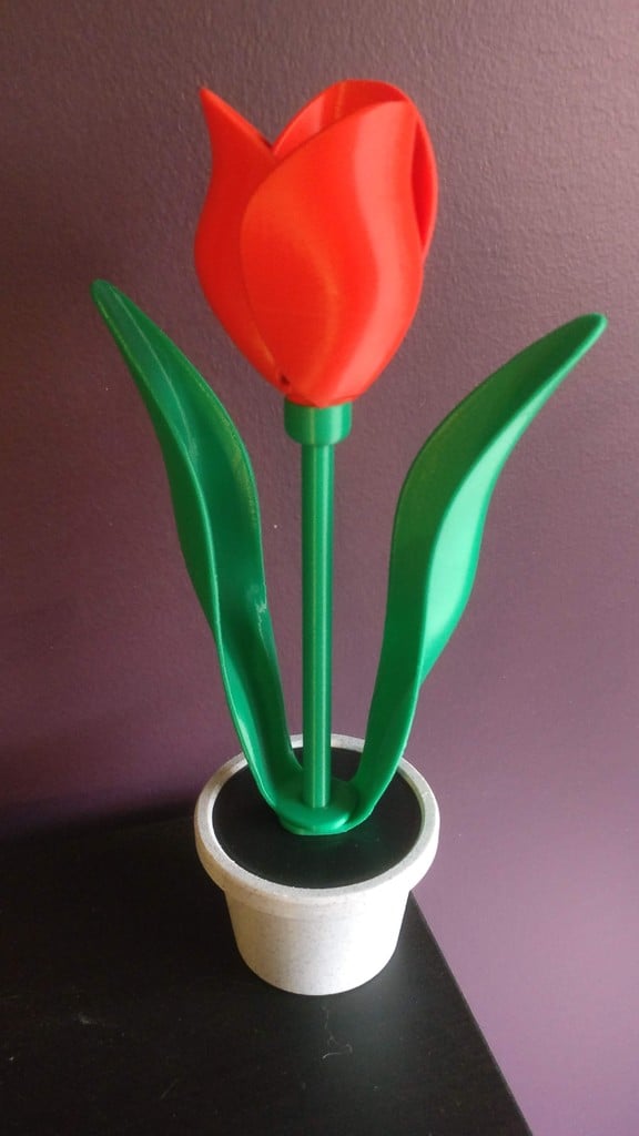 Miniatura 2 do modelo 3D Single Tulip & Pot