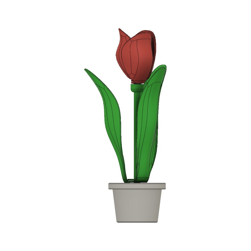 Miniatura 11 do modelo 3D Single Tulip & Pot