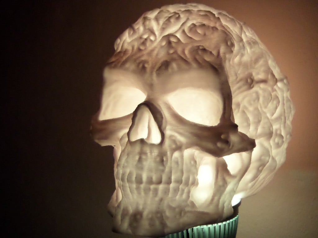 Spook Skull 3D Scan (Hollow)