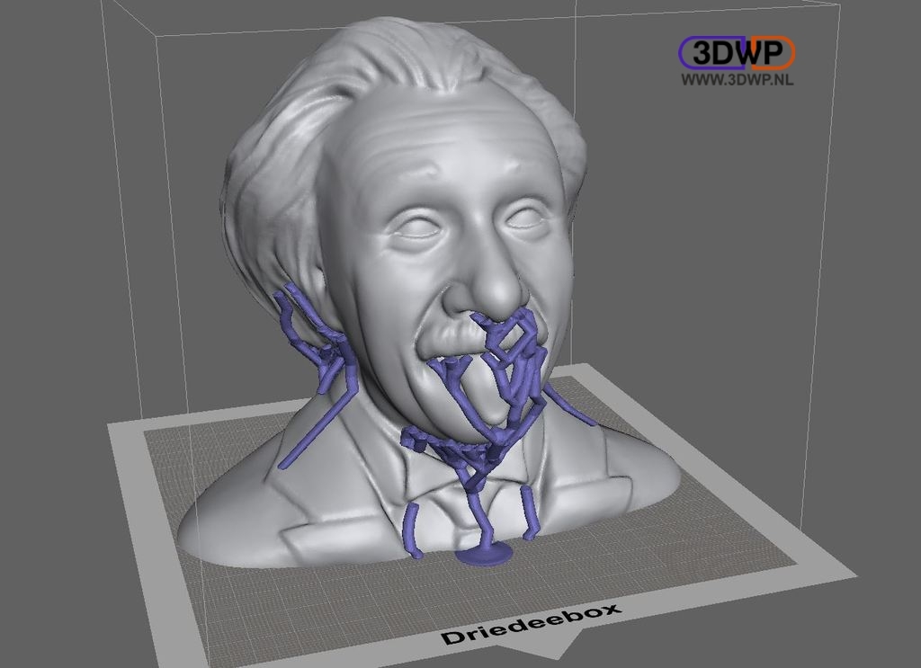 Miniatura 2 do modelo 3D Albert Einstein Bust