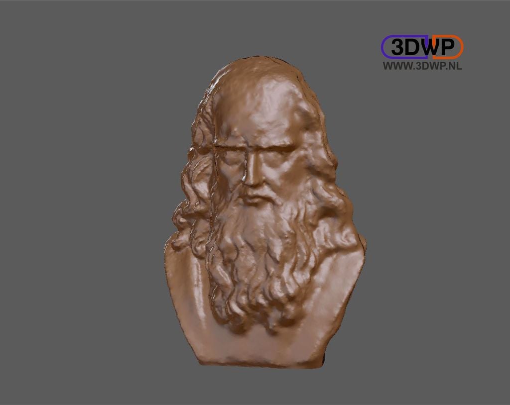 Leonardo Da Vinci Bust 3D Scan by 3DWP | Download free STL model ...